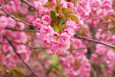 绍兴柯桥区线下个人借款平台一站式服务，轻松解决资金难题