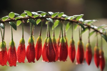 绍兴柯桥区零用贷短借：轻松解决临时资金需求