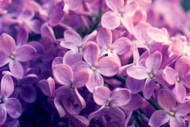 绍兴柯桥区企业急用钱贷款攻略：快速融资解燃眉之急